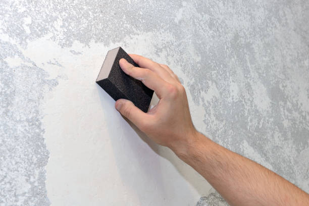 Best Mold Damage Restoration  in Minneapolis, KS