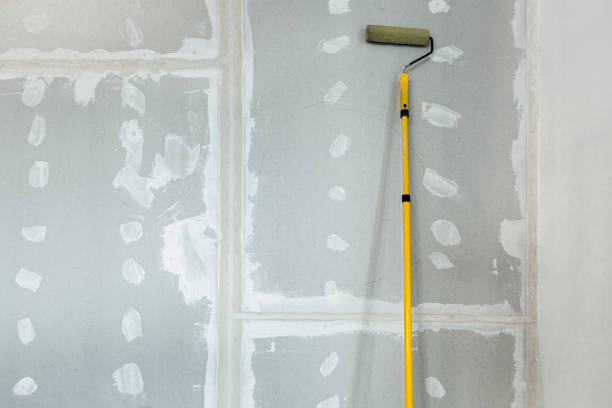 Best Dehumidification Services  in Minneapolis, KS
