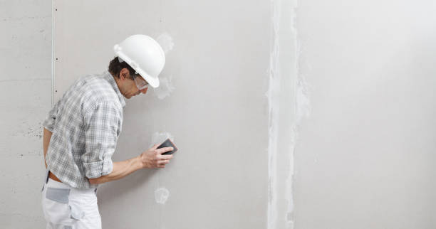 Best Air Quality Testing for Mold Spores  in Minneapolis, KS