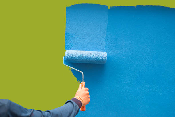 Best Mold Odor Removal Services  in Minneapolis, KS