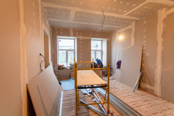 Reliable Minneapolis, KS Mold Removal Solutions