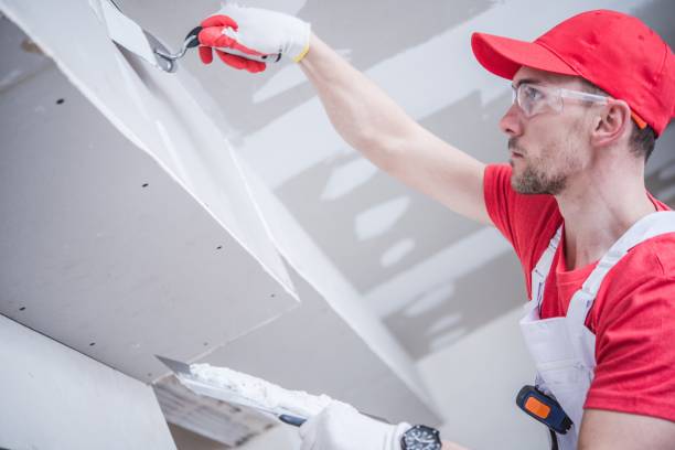 Best Real Estate Mold Inspection  in Minneapolis, KS