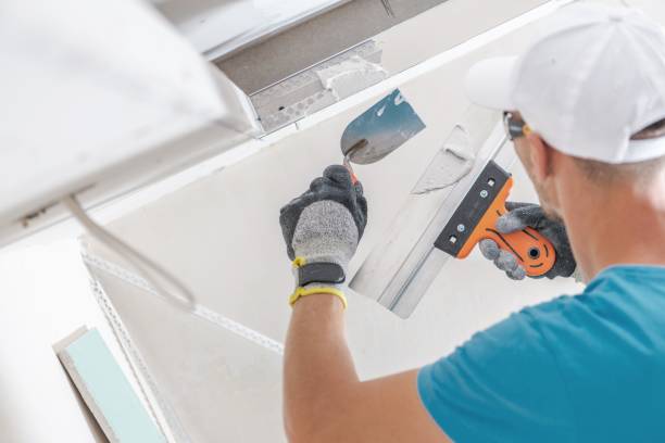 Best Mold Remediation for Healthcare Facilities  in Minneapolis, KS